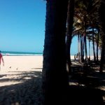 15095450_1149163391798761_6107480233253912655_n