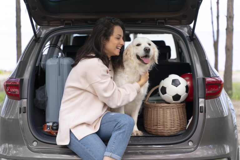 Viagem com pets: como transportar seu animal de forma segura